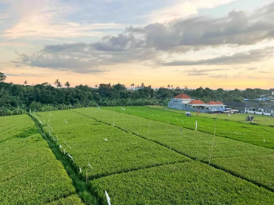 Elias House In Gang Mango Bed & Breakfast Canggu  Indonesia